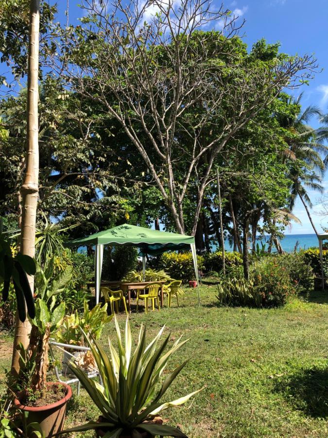 Hotel El Pargo Feliz Montezuma Exteriér fotografie